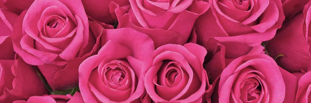 itsBBnecole's profile banner image