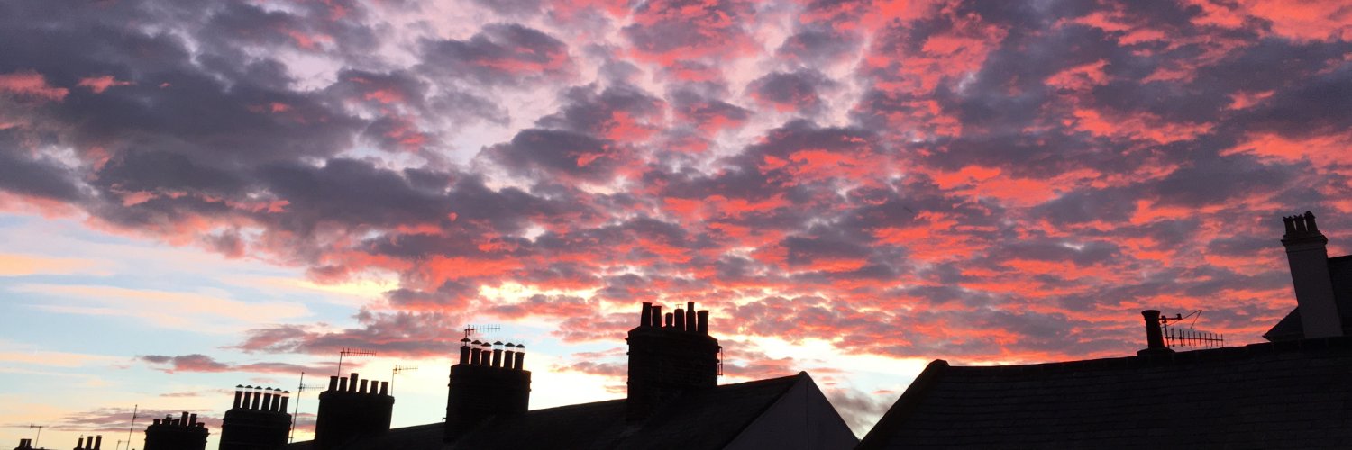 William Taylor banner