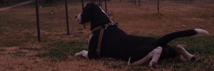 FedeValdez4's profile banner image
