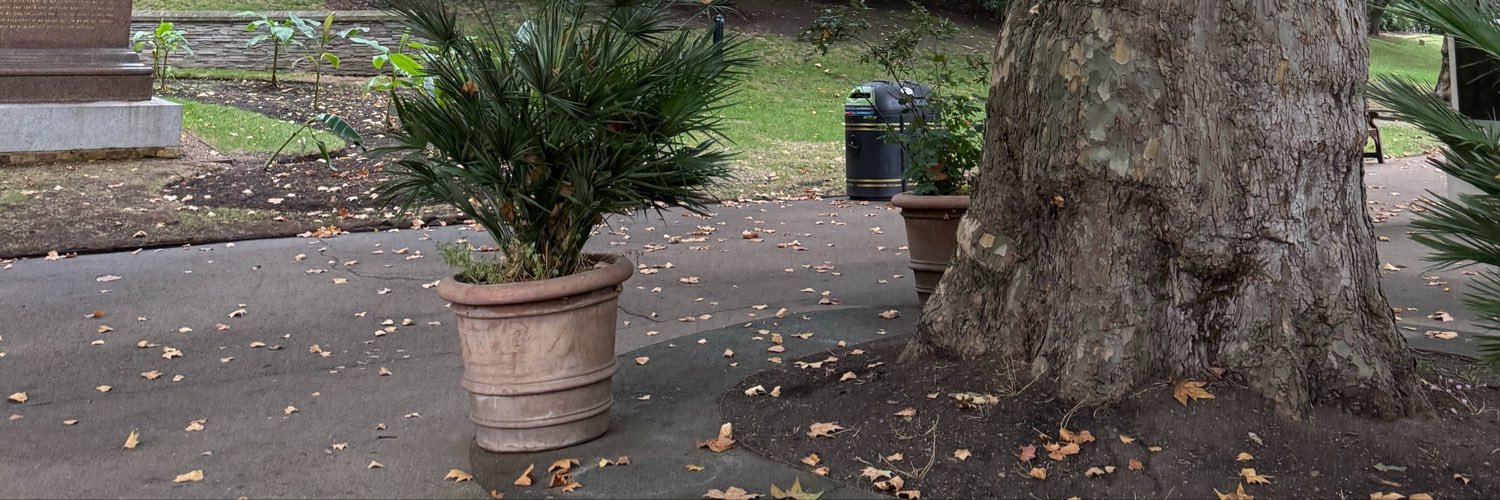 2Badriaht's profile banner image