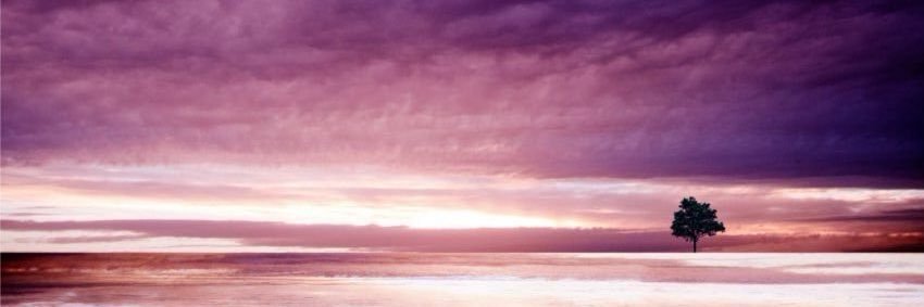 JEdila •_ ™ banner