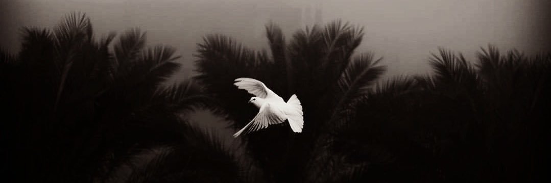 د. خالد الجارالله banner