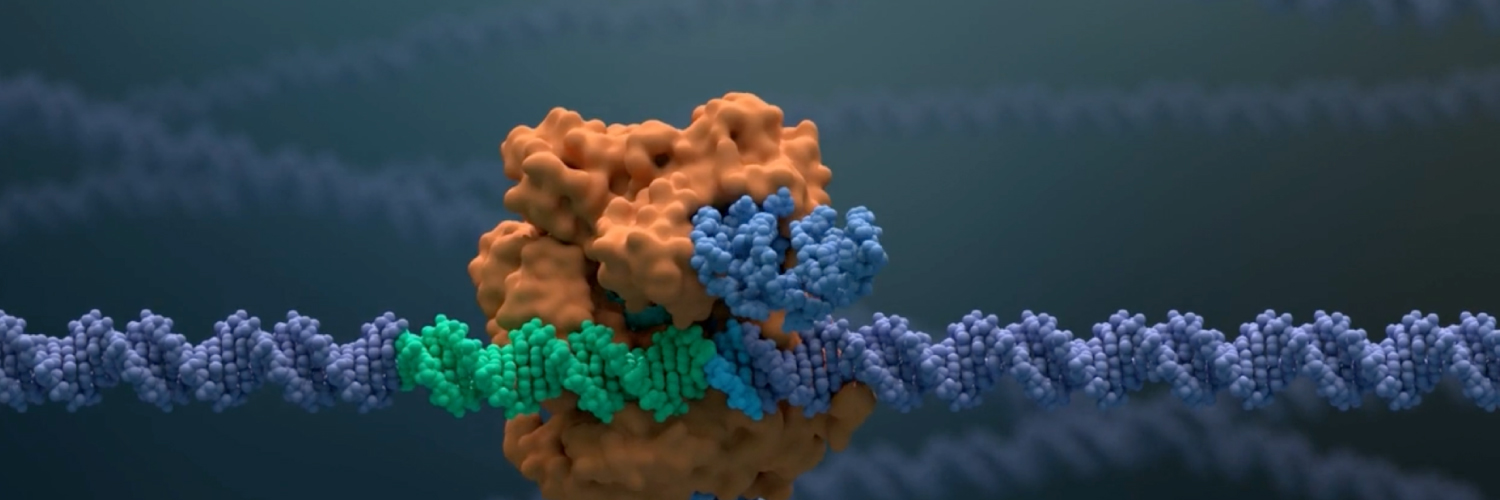 Samarth Kulkarni banner