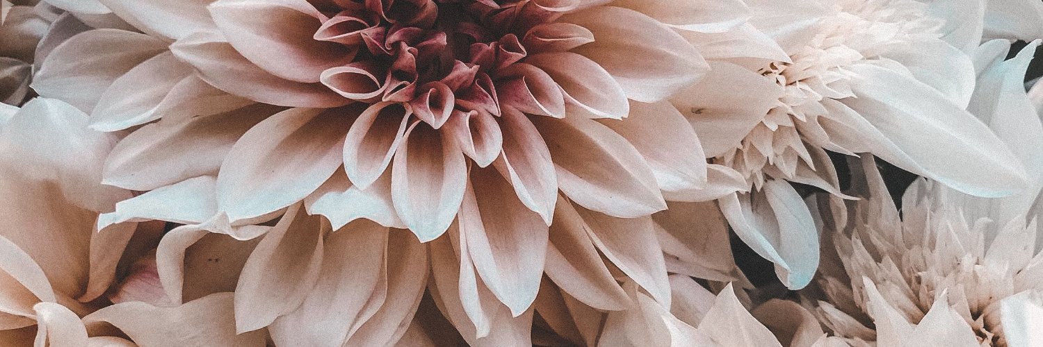 LuckyGrapefruit's profile banner image