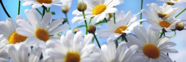 jodienelson321's profile banner image