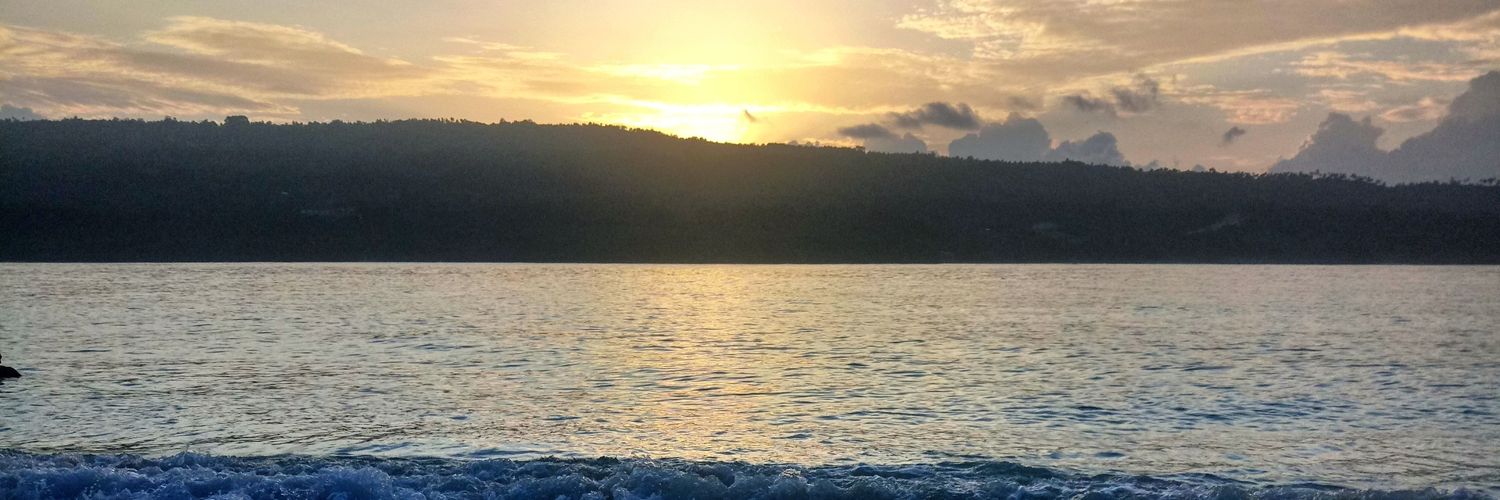 daivepasikat's profile banner image