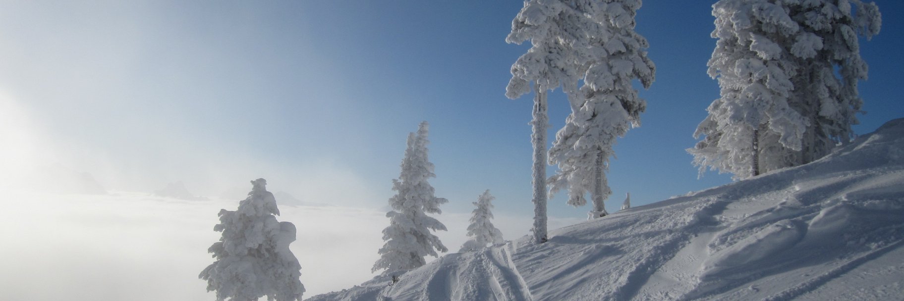 Abedull123's profile banner image
