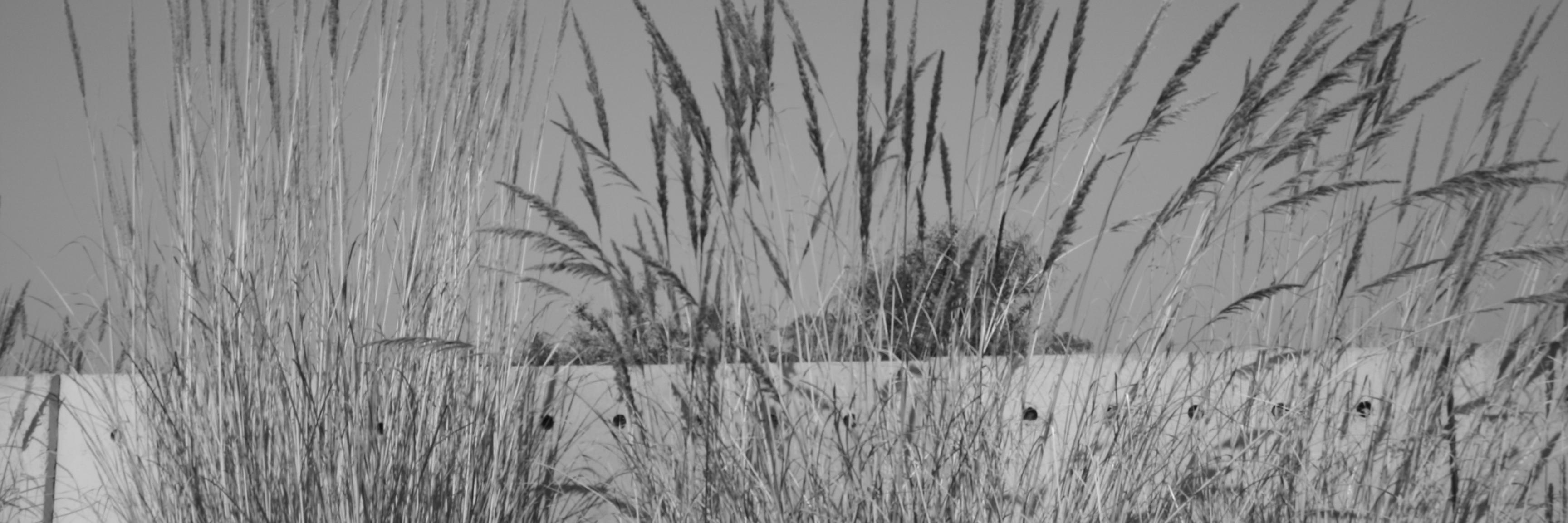 nirat's profile banner image