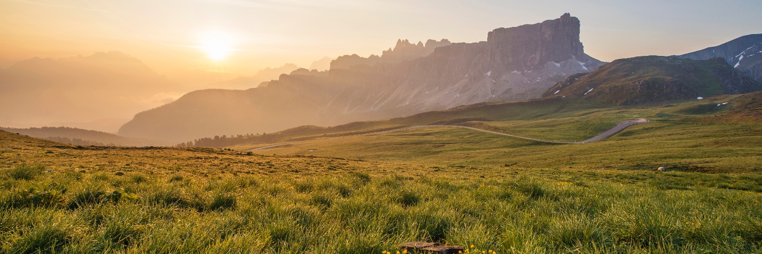 GlobalHealthVisions banner