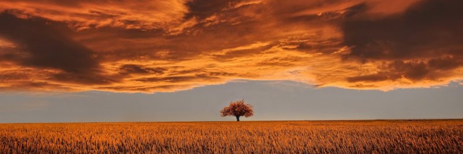 alpha13002's profile banner image