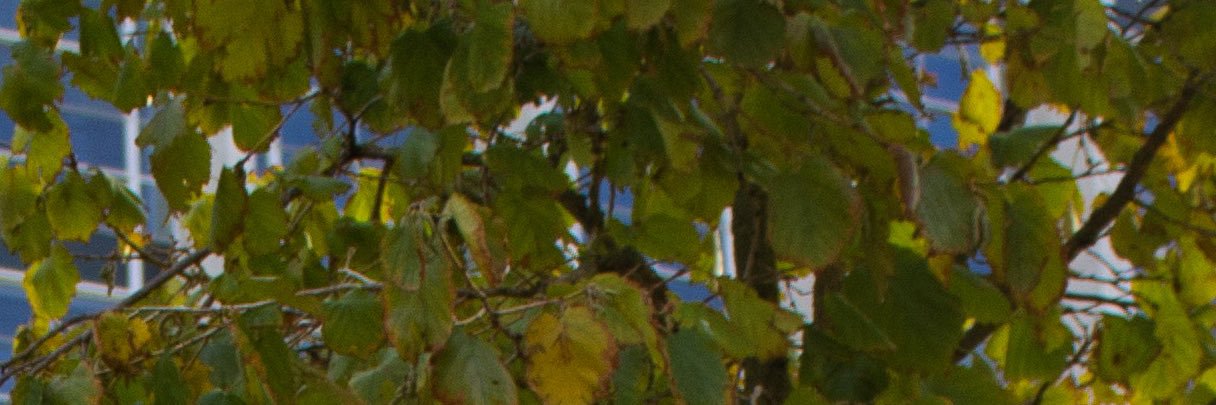 Johnnyyrobinson's profile banner image