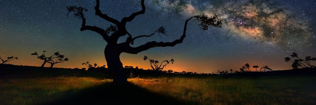 ITSTLHS's profile banner image