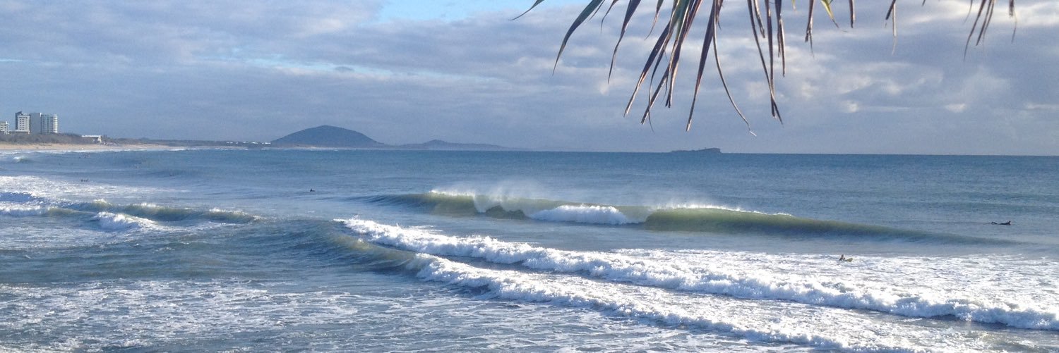 Stephanie Moroz banner