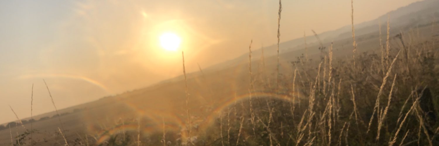 gracienevie's profile banner image