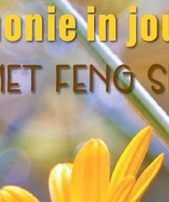FengShuiTuin's profile banner image