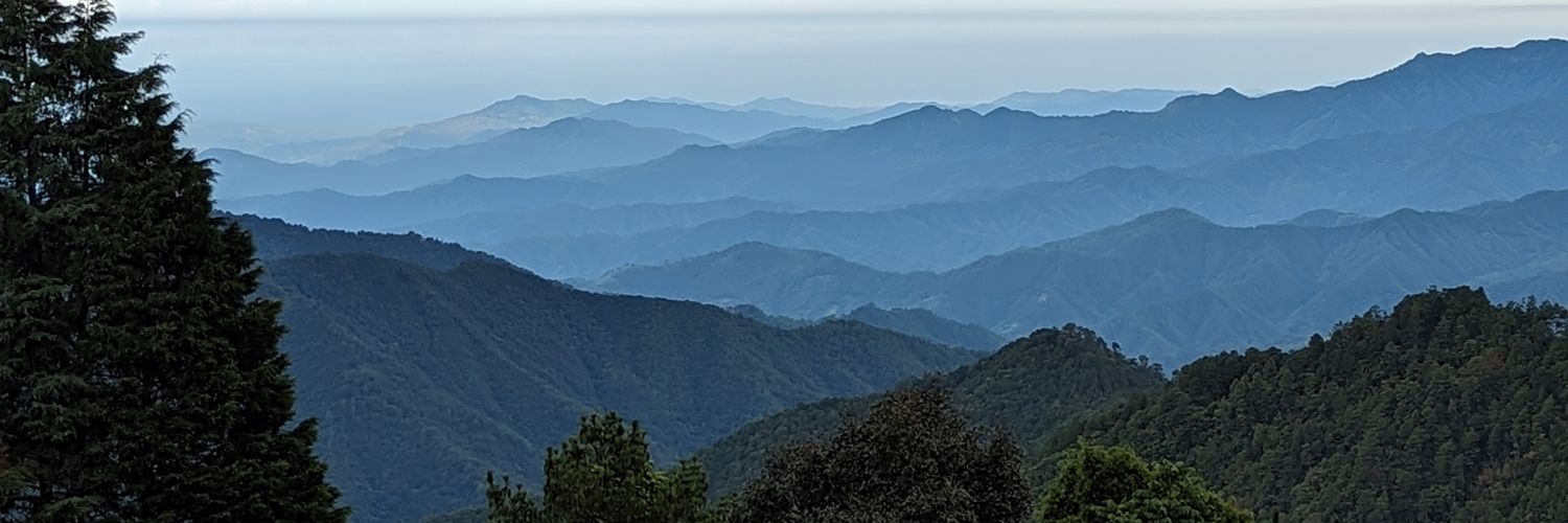 RealRomanTweet's profile banner image