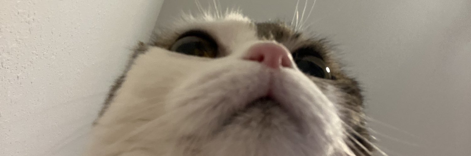 RxdicalPanda's profile banner image