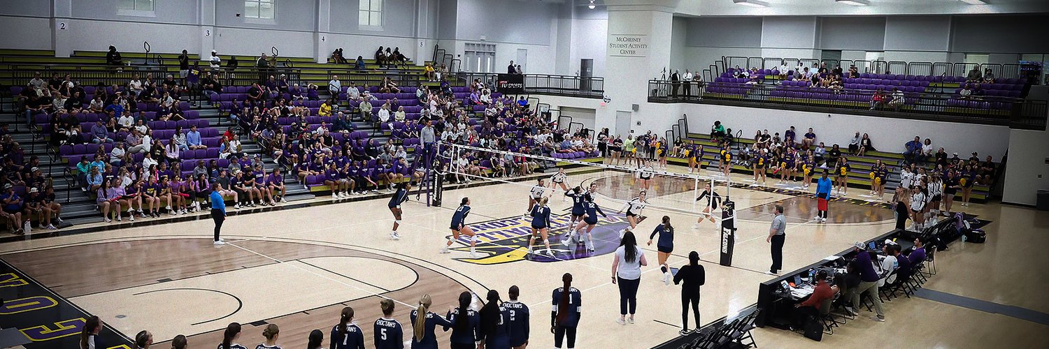 Montevallo Volleyball banner