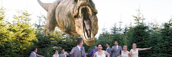 roosax Profile Banner