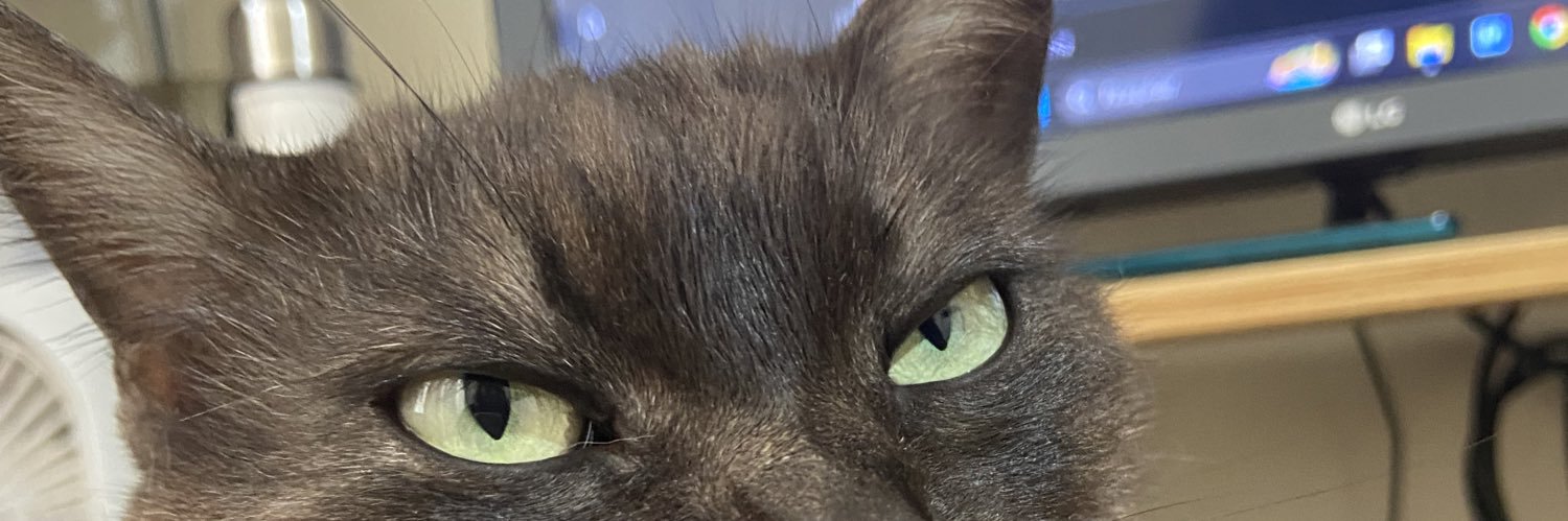 AnaSegrini's profile banner image