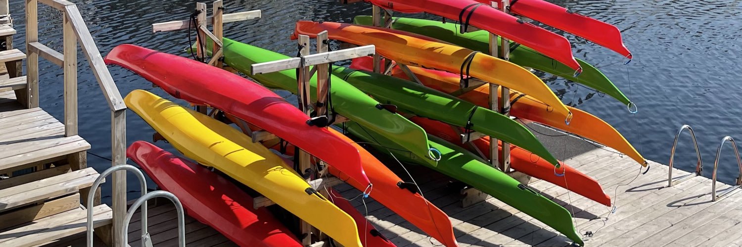 Frederique de Jong banner