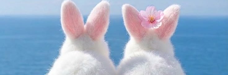 ohnellax's profile banner image