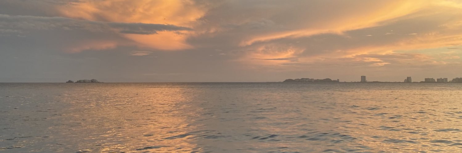 ronymind's profile banner image