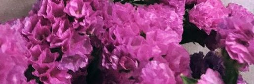 ms_afra2's profile banner image
