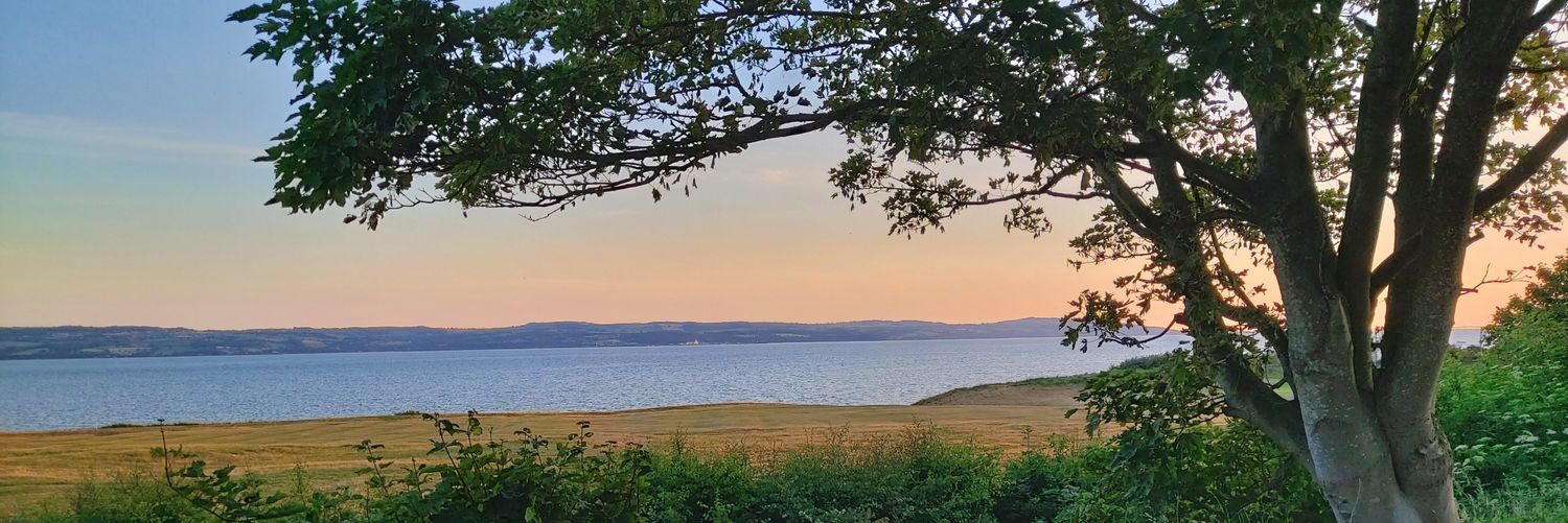 Amanda Male 💙 banner
