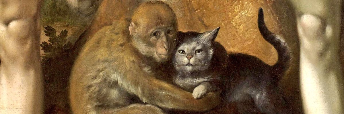 steveroh's profile banner image