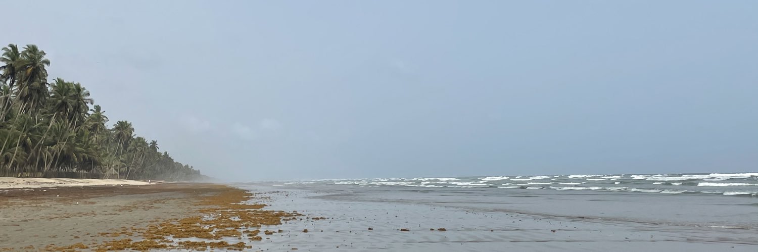 kelincarpenter's profile banner image
