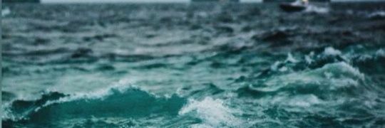 Rosestylesglax's profile banner image