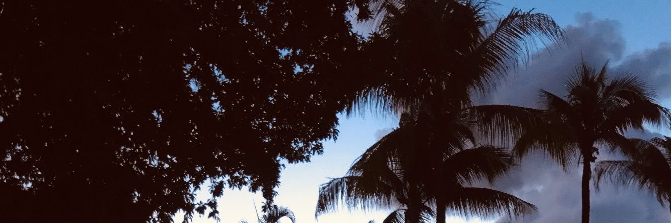 shepparrrd's profile banner image