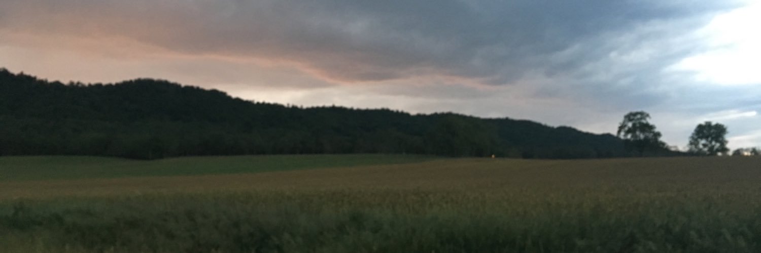 t banner