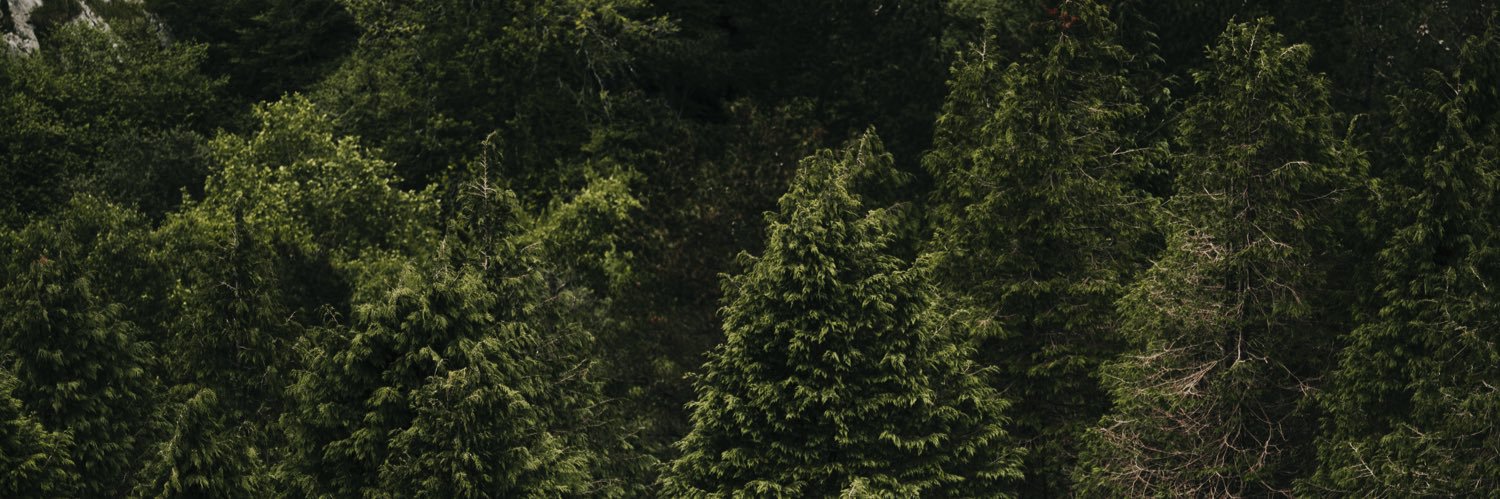 dewbeno's profile banner image