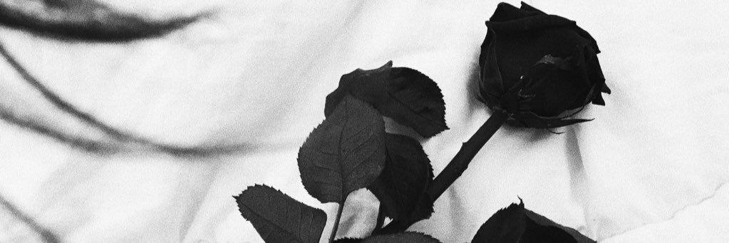 mariagsanchez_'s profile banner image