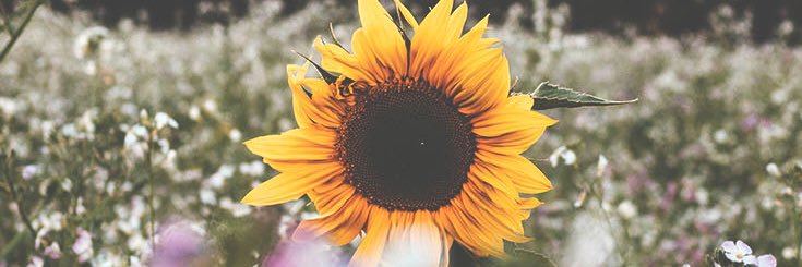 mabelbtst's profile banner image