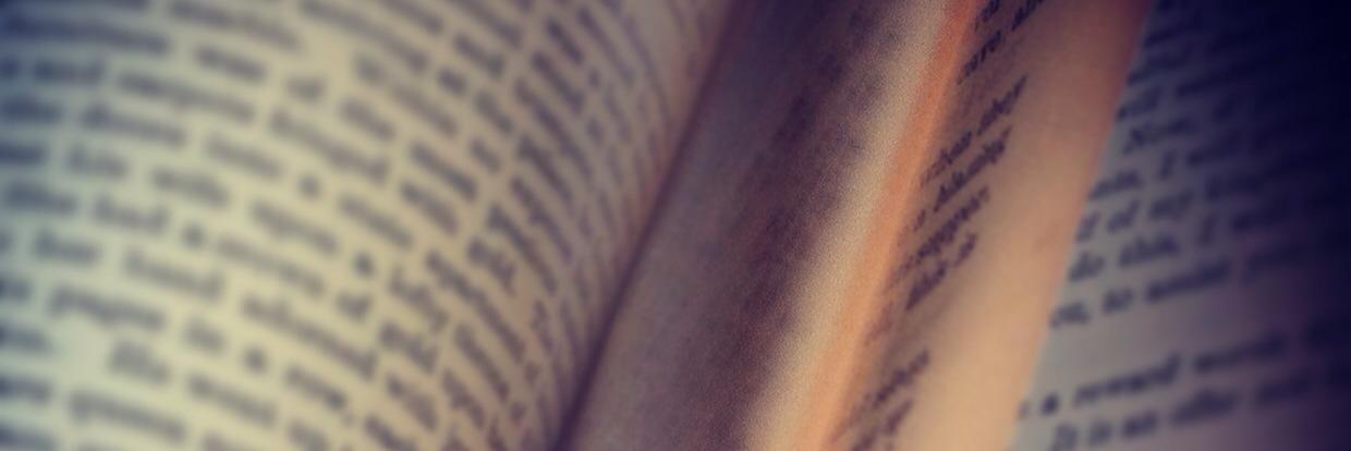 LucyBasey's profile banner image