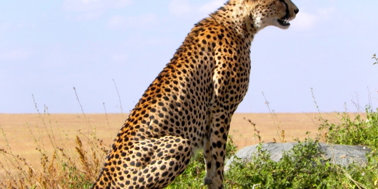 Iyar Binyamin banner