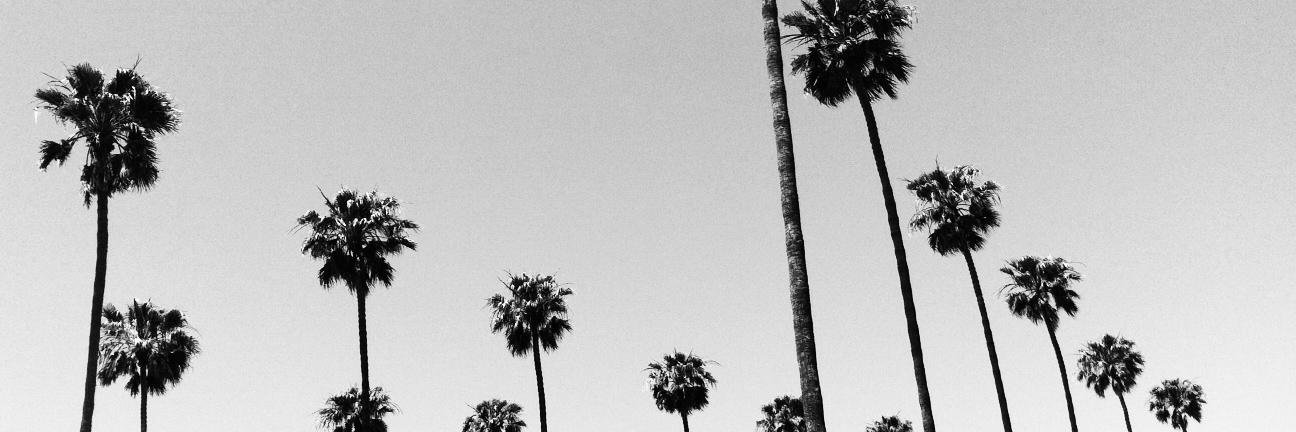 monvbenson's profile banner image