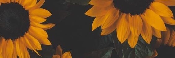 dwlindah's profile banner image