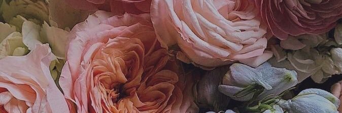 pamedr's profile banner image