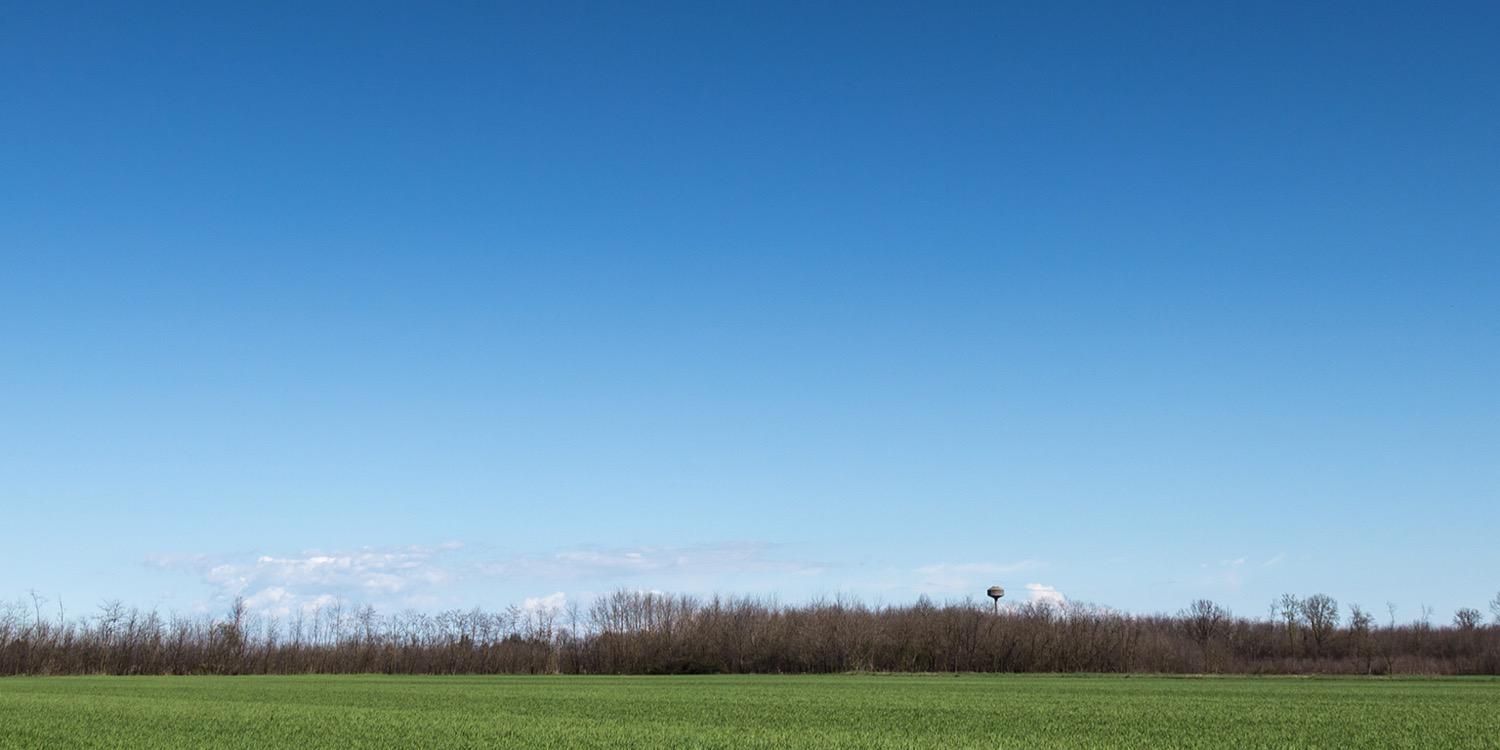 Piraneo Giuliano, Francesco banner