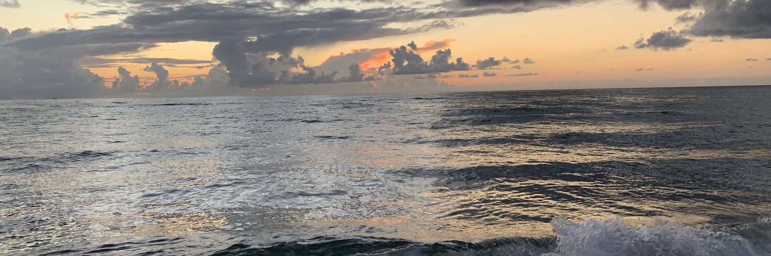 DanaSimone1's profile banner image