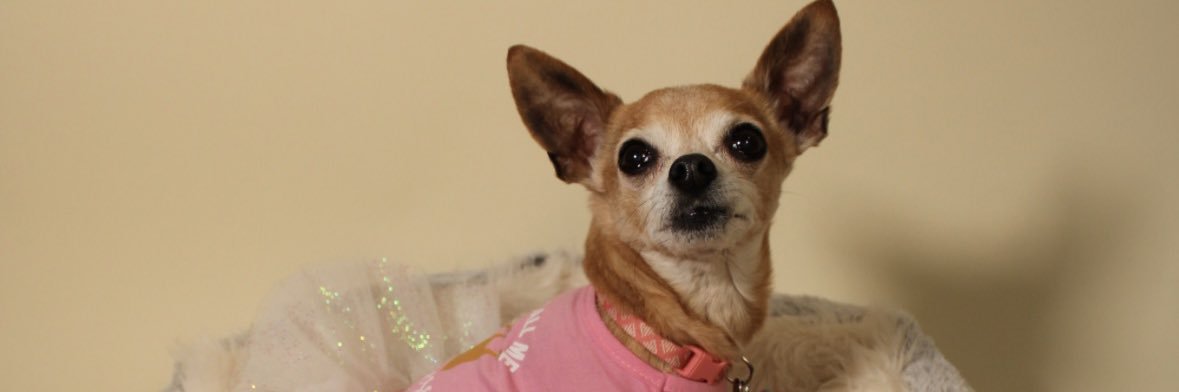 KrysGonz818's profile banner image