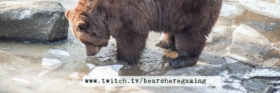 StmPwrdBear's profile banner image