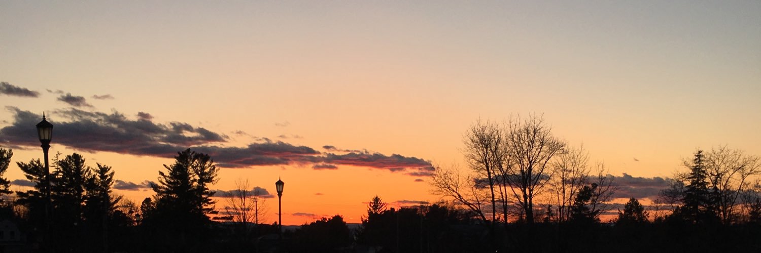 Bella_Pinkss's profile banner image