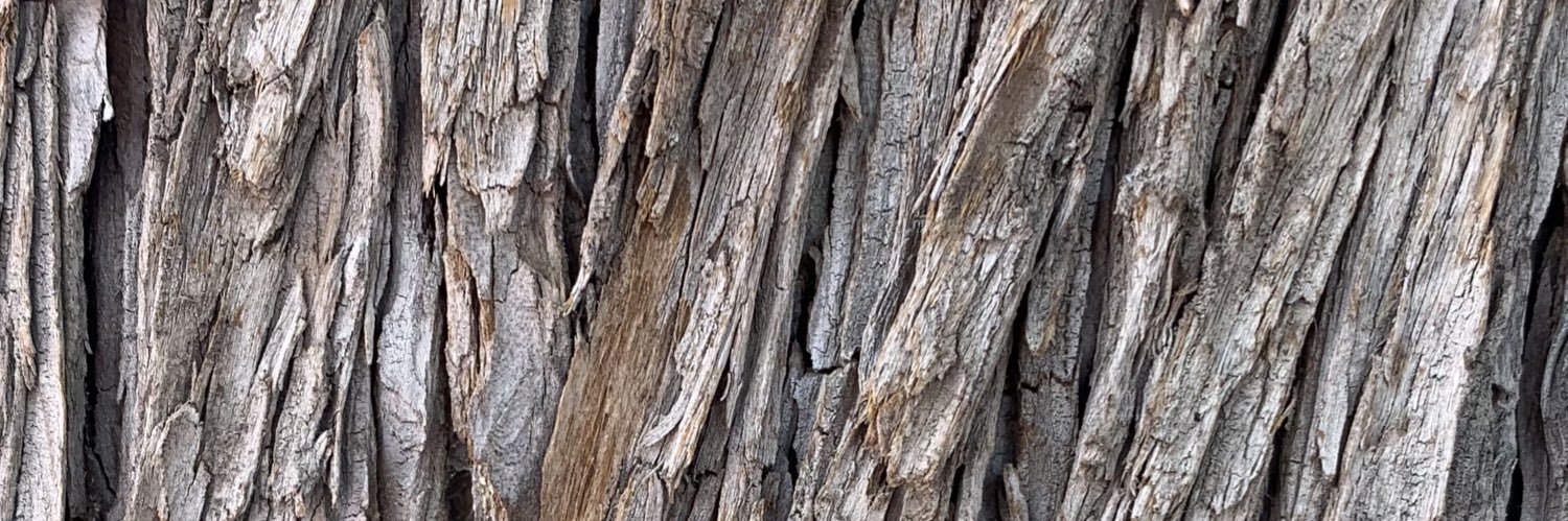 aurorabigail's profile banner image