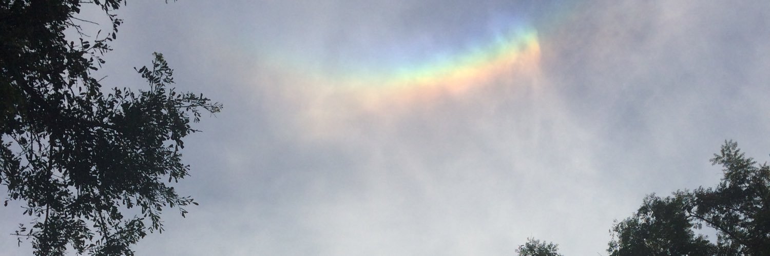 bxxth's profile banner image