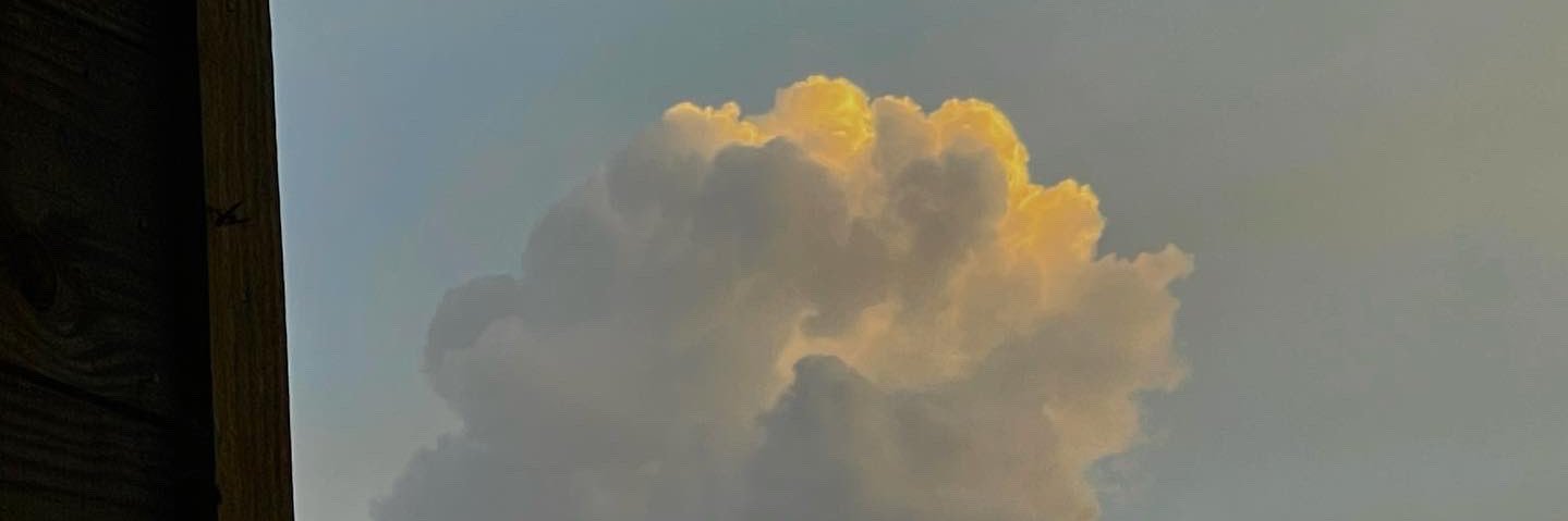 wonkyklo's profile banner image